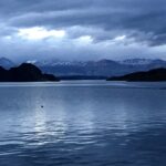 IMG_2429